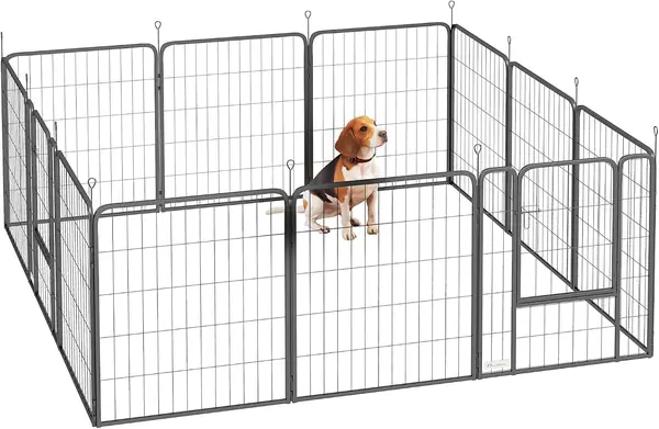 Hundeauslauf